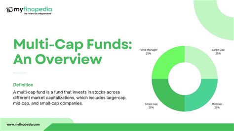 Multi Cap Funds An Overview MyFinopedia