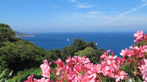 Ile Du Levant Location De Studio Le Du Levant Domaine Naturiste