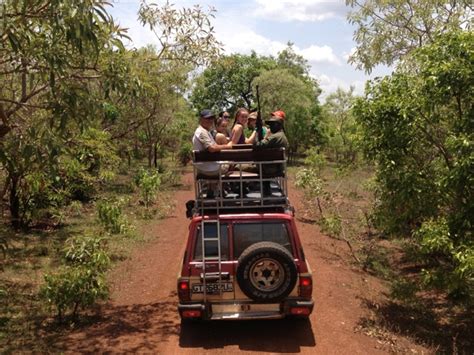 UBC-O Nurses in Ghana, Africa: Mole National Park - Safari adventures