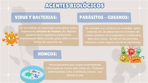 Tipos de agentes biológicos nursing cvc uDocz