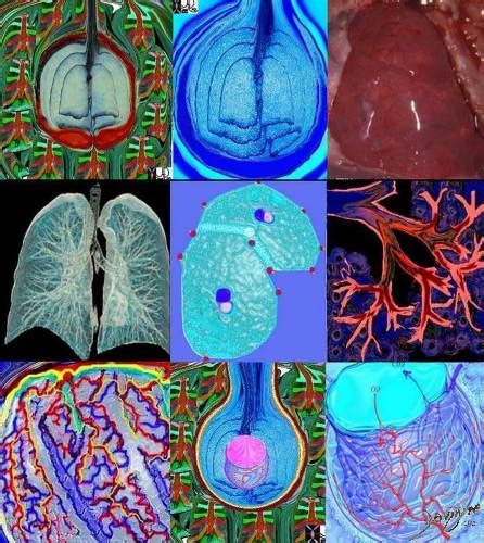 A Page from the Story of the Lungs - ART IN ANATOMY