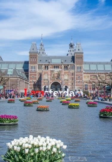 14 Best Art Museums in Amsterdam | Celebrity Cruises