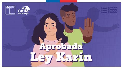 Ley Karin Es Realidad Se Aprueba Proyecto Que Fortalece Legislación