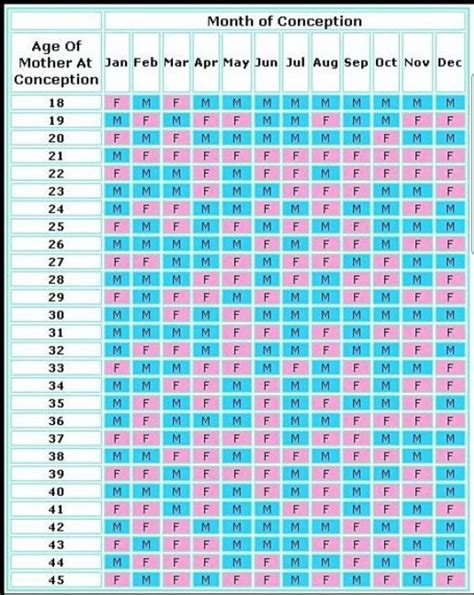 2024 Gender Chart Molly Therese