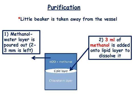 Methods of Lipid analysis Done by Naizabayeva D