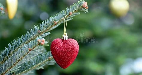 Red Heart Shaped Christmas Toy On The Tree Stock Footage Video Of