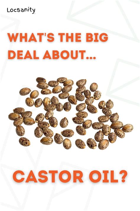 Castor Oil & Its Benefits | Castor oil, Castor, Oils