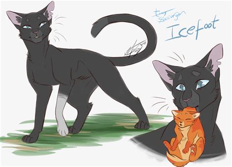 Warrior Cats M Jay Warriors Art Warrior Cats Scourge Warrior Cat Memes Warrior Cats Comics