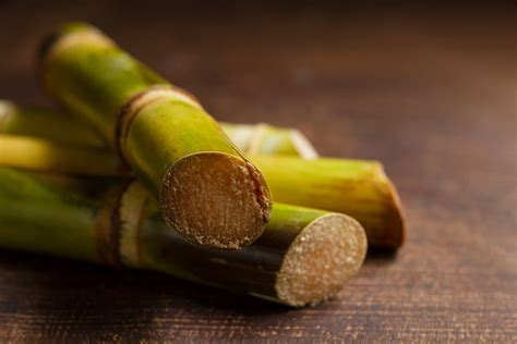 Why These Varieties Of Sugarcane Plants Common