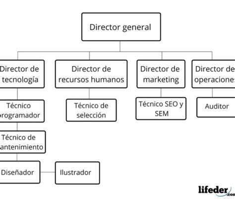 Organigrama De Una Empresa De Servicios Estructura Y Ejemplo Lifeder Images