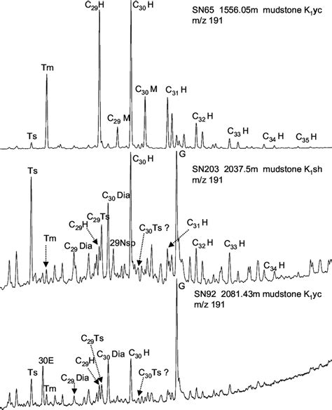 Mass Chromatograms Mz 191 Showing The Distribution Of Rearranged