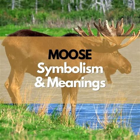 Moose Symbolism Meanings And History Symbol Genie