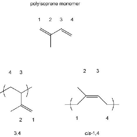 Isoprene monomer and the different forms of polymerized isoprene ...