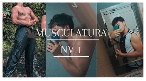 MUSCULATURA NV 1 COMO EMPEZAR DESDE ZERO PASO A PASO YouTube