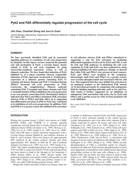 Pdf Pyk2 And Fak Differentially Regulate Progression Of The Cell Cycle