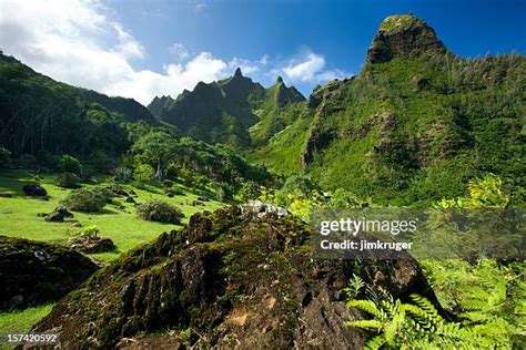 Botanical Gardens Kauai Photos and Premium High Res Pictures - Getty Images