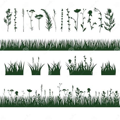 Silhouettes Meadow Grass Stock Vector Illustration Of Vector 51614053