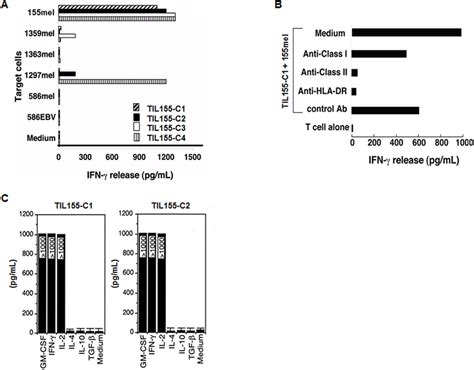 Specific Recognition Of Autologous Melanoma Cells By Cd Til