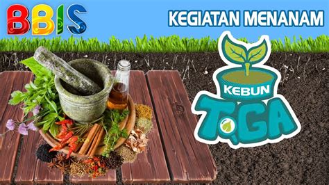 Gardening MENANAM Di KEBUN TOGA Tanaman Obat Keluarga YouTube