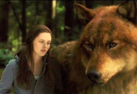 Screencaps De Bella E Jacob Na Forma Lobo Família Twilight