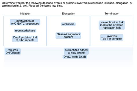 Solved Etermine Whether The Foll Termination In E Coli Chegg