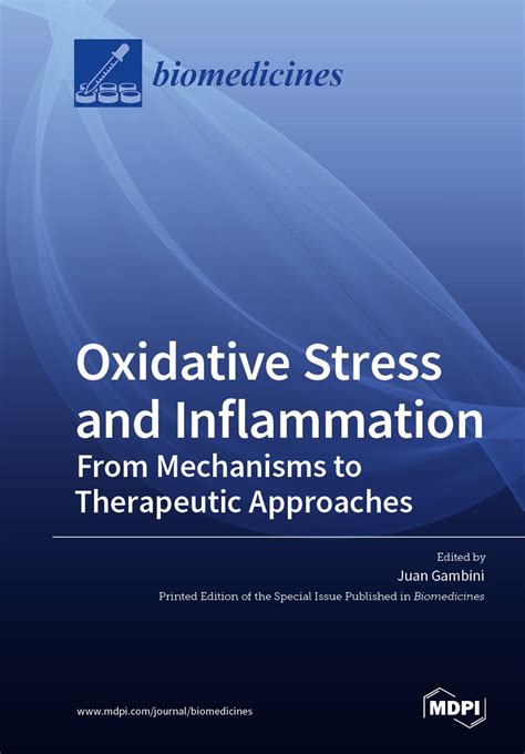 Oxidative Stress and Inflammation: From Mechanisms to Therapeutic Approaches | MDPI Books