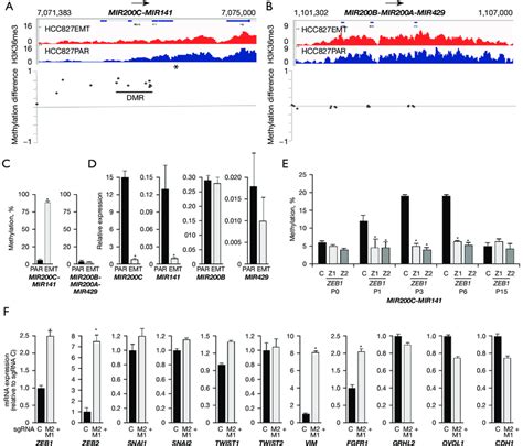 Mir C And Mir Impacts Emt Marker Mrna Expression A B