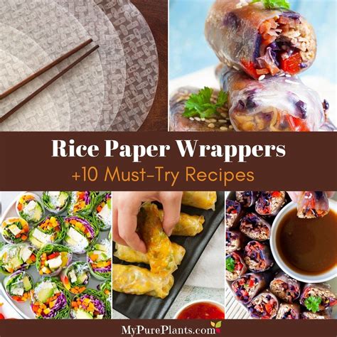 Rice Paper Wrappers How To Buy And Use Them Rice Paper Recipes