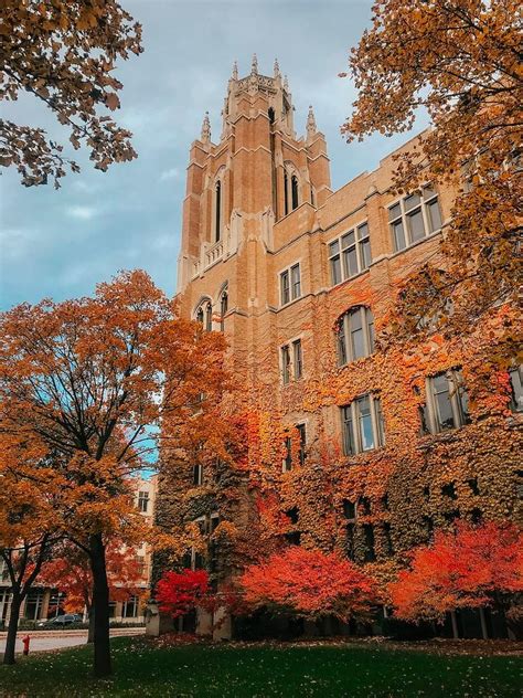 UNC Adams School of Dentistry: Application and Program Overview | Leland