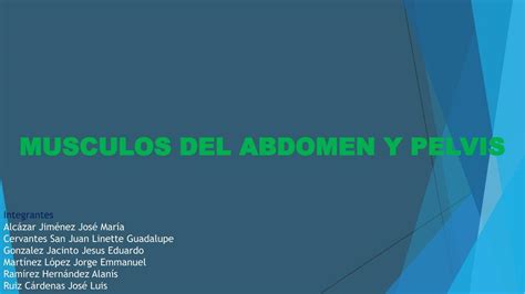 Músculos Del Abdomen Y Pelvis Jesus Gonzalez Udocz