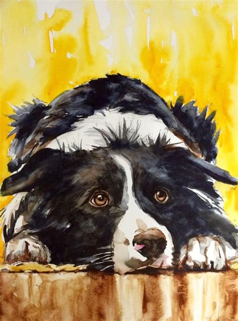 Watercolor On Paper 27x35 Cm Border Collie Dog Portraits Painting