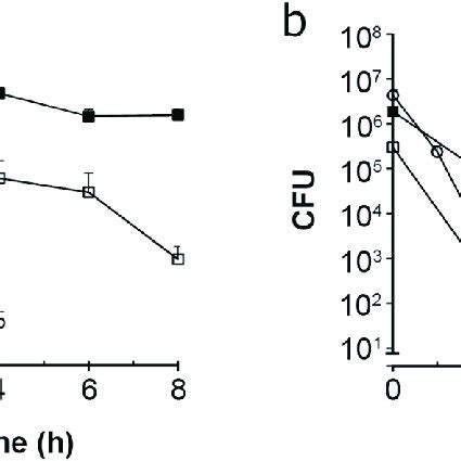 Antibiotic Time Kill Assay Of P Aeruginosa Biofilms And Dispersed