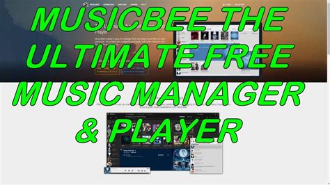 Discover The Ultimate Free Music Player And Manager MusicBee YouTube