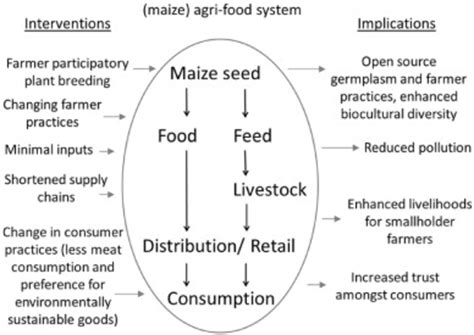 diagrammatic representation   alternative pathway