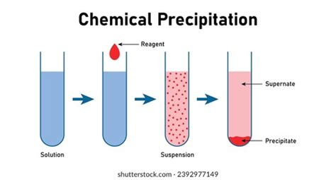 Chemical Precipitation Reaction Diagram Solution Reagent Stock Vector ...