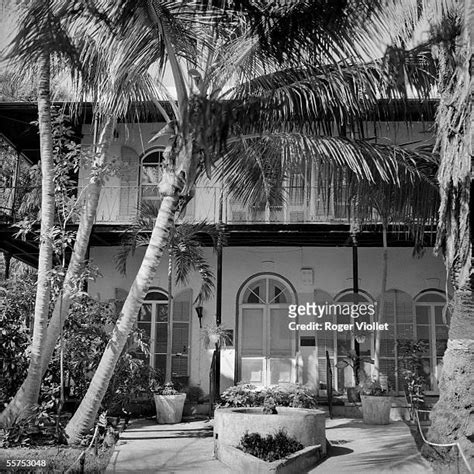 311 Ernest Hemingway House Stock Photos, High-Res Pictures, and Images ...