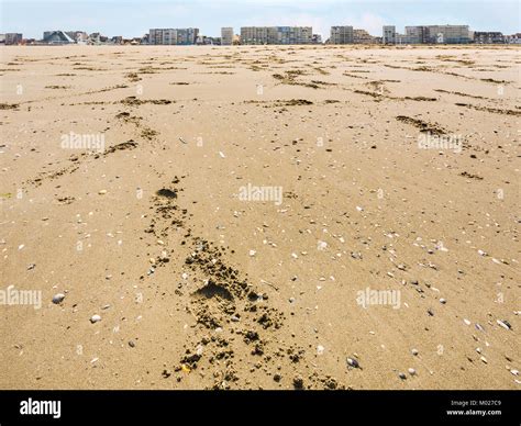 Travel To France Sand Beach Of Le Touquet With Apartment Houses Le