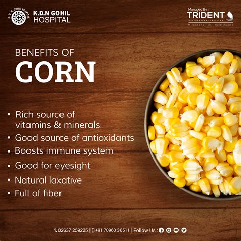 Benefits of Healthy Corn | Healthy food habits, Healthy snacks recipes, Corn health benefits