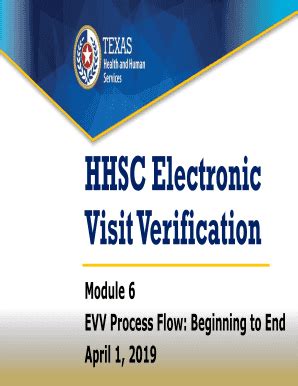 Fillable Online EVV Process Flow EVV Process Flow Fax Email Print