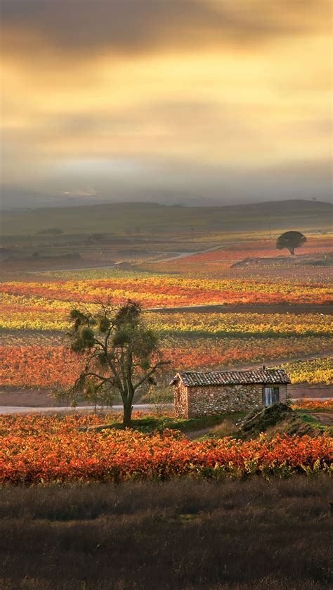 Granja En El Campo Fondo De Pantalla K Hd Id