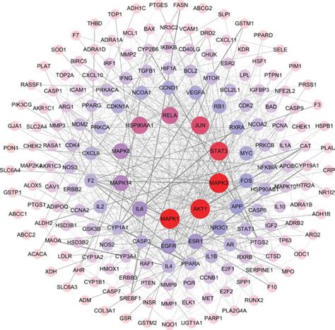 Network Pharmacological Analysis Of Fuzheng Yiliu Decoction Fzyld Download Scientific