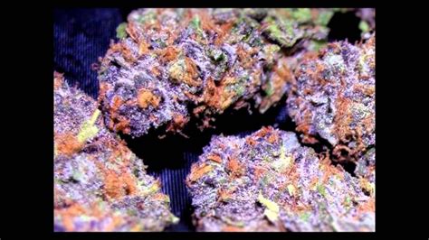 Purple Kush S Hip Hop Instrumental Youtube