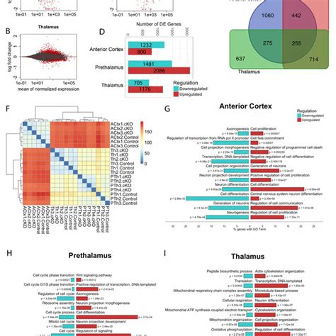 Pax6 Deletion Has Opposite Effects On The Transcriptomes Of Cortical