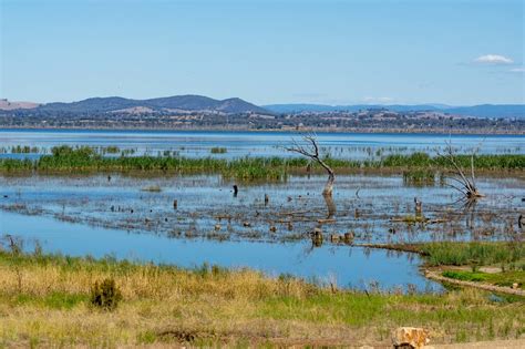 Winton Wetlands – The largest wetland restoration project in the ...