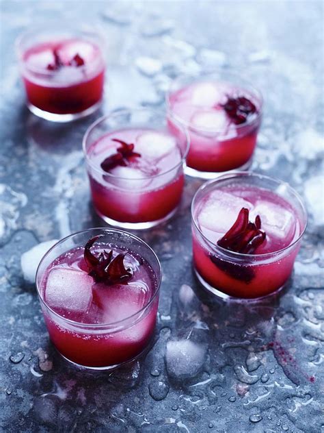 hibiscus  raspberry soda pop photograph  oliver brachat fine art