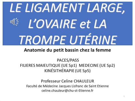 Le ligament large les ovaires et les trompes utérines Mme Chauleur