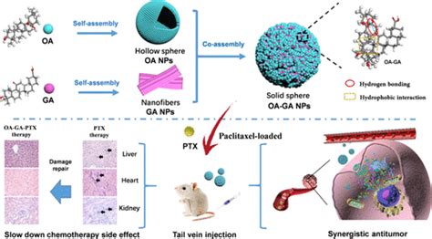 Nanomedicine Cum Carrier By Co Assembly Of Natural Small Products For