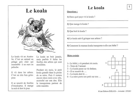 CE1 Le koala Ecole Ernest Pérochon