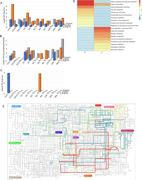 Derivation Of Novel Metabolic Pathway Score Identifies Alanine