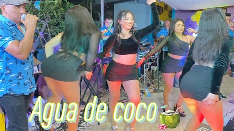 Rey Y Su Chanchona Mix Agua De Coco Peque A Y Frajil La Hamaca De Anita